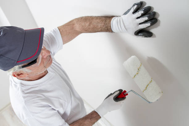 Best Wallpaper Removal and Painting  in Belmar, NJ